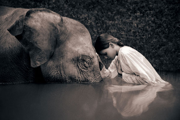 elephant and girl2