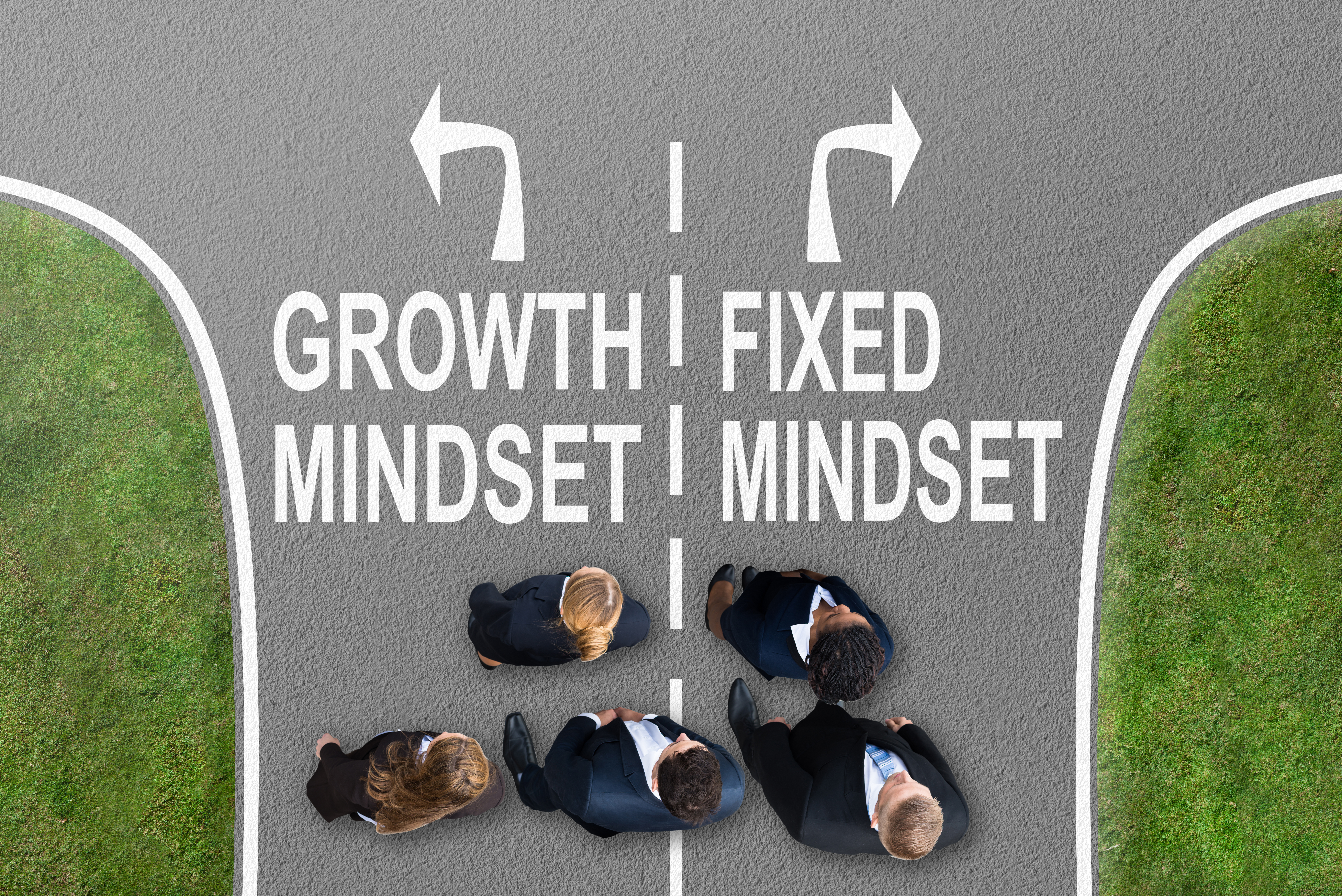Fixed Growth Mindset
