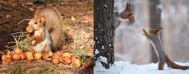 How Our Inward or Outward Mindset Affects Us - Ryan Gottfredson