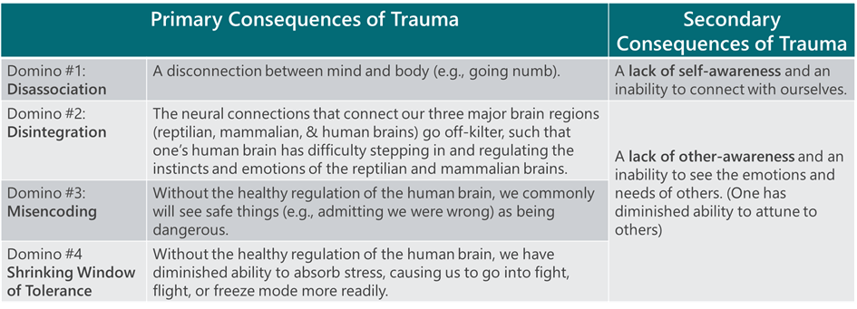 Consequences of Trauma - 1