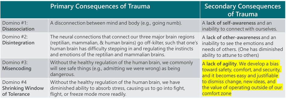 Consequences of Trauma - 2