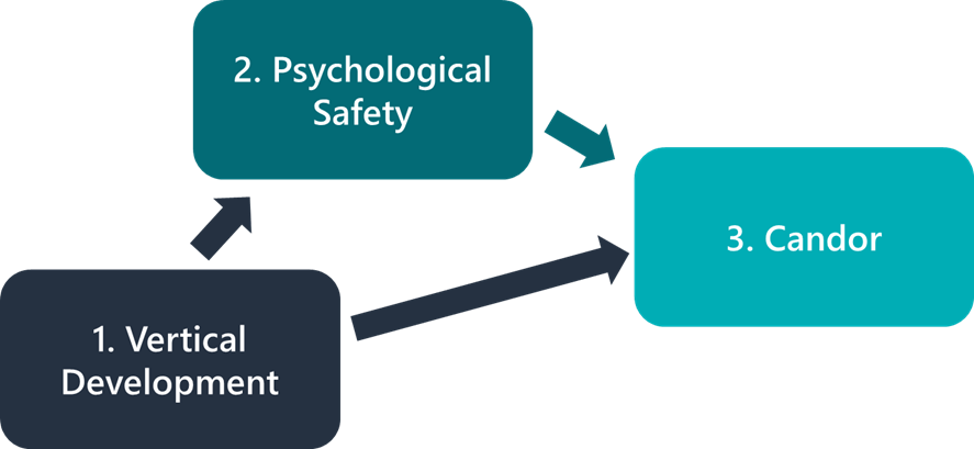 Vertical Development Psychological Safety Candor