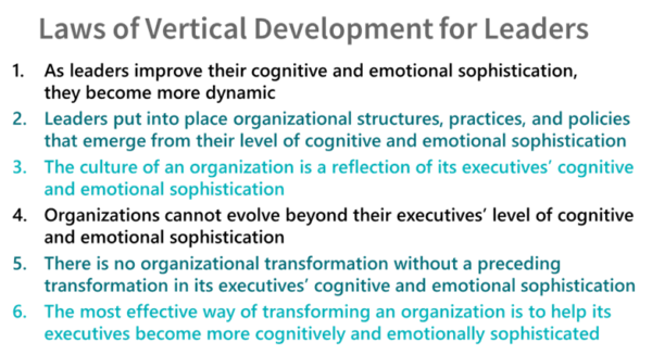 Why Organizations Need Vertical Development - Ryan Gottfredson
