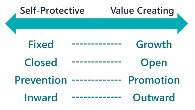 Self-Protective vs Value Creating Mindsets
