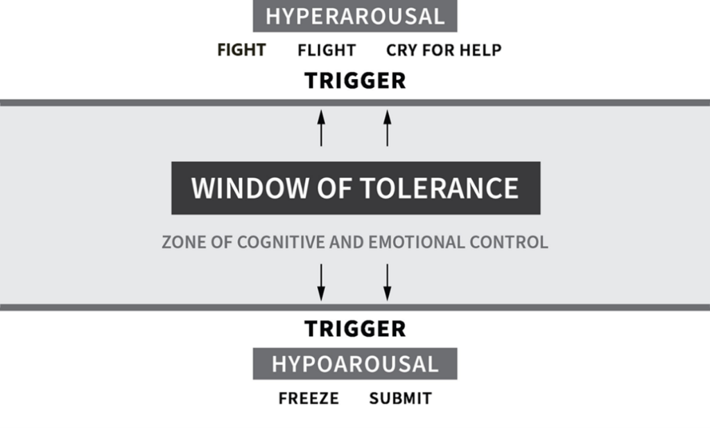 Window of Tolerance and Emotional Regulation