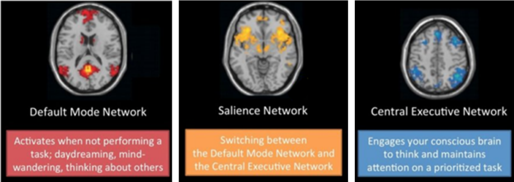 three primary brain networks - default mode network (DMN), and the central executive network (CEN)