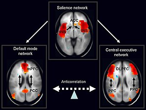 Salience Network, Default Mode Network, and Central Executive Network