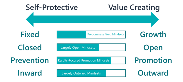 Mindsets generally found in high Mind 2.0 leaders