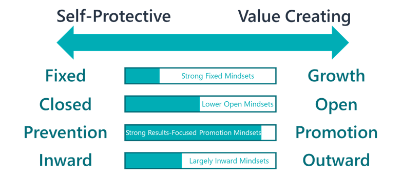 Mindsets generally found in low Mind 2.0 leaders