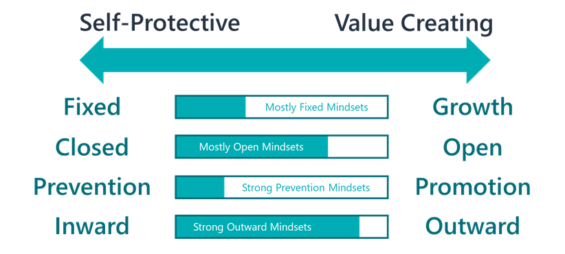 Mindsets generally found in Mind 1.0 leaders